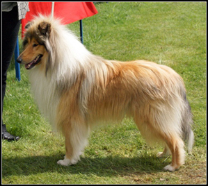 Wystawa Świerklaniec