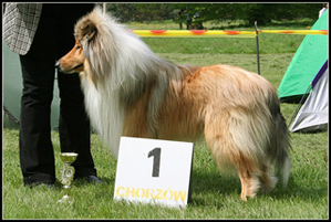 Wystawa Świerklaniec 2